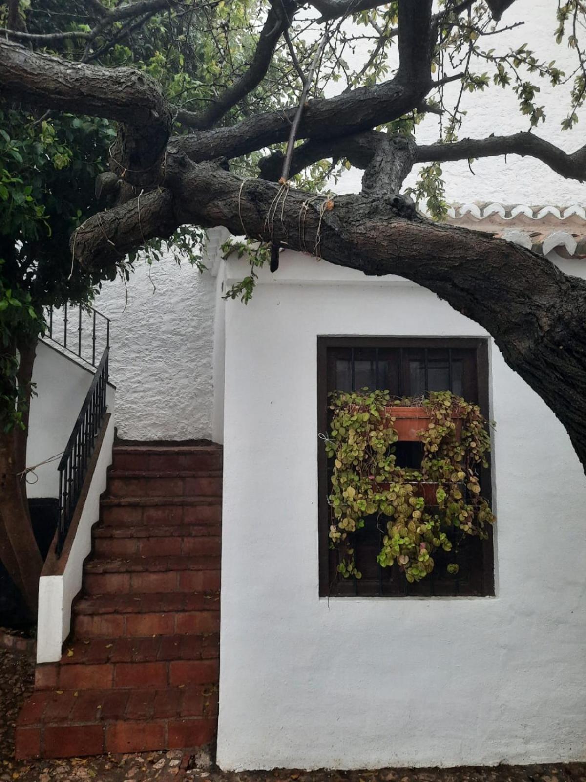 Hotel Rural Verde Oliva 코마레스 객실 사진