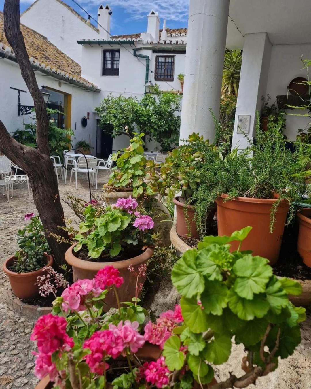 Hotel Rural Verde Oliva 코마레스 외부 사진
