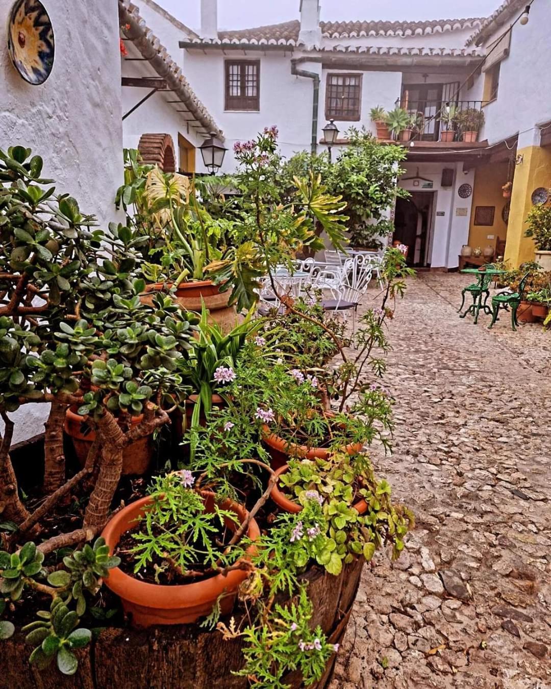 Hotel Rural Verde Oliva 코마레스 외부 사진